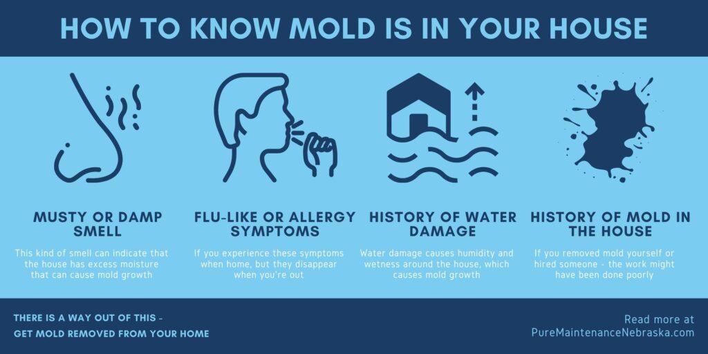 Signs And Symptoms Of Mold And Mildew Exposure: Understanding The Health Impacts