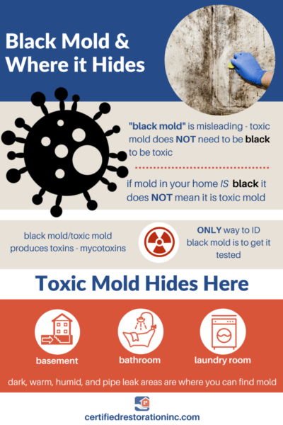 Signs Of Mold Exposure Symptoms: Identifying Potential Health Effects