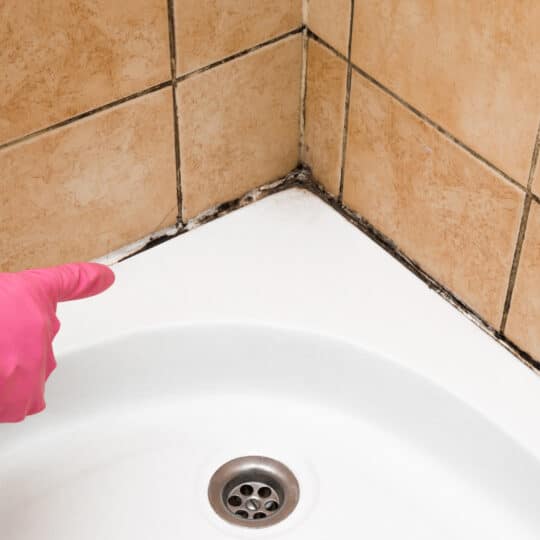 Struggling With Mold In Tile Grout? Discover How To Remove It Safely And Thoroughly