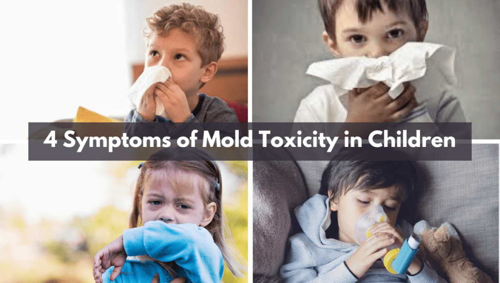 Symptoms Of Black Mold Exposure In Babies: Protecting Your Little Ones