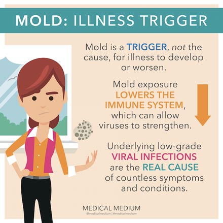 Symptoms Of Black Mold Exposure WebMD: Understanding The Medical Perspective