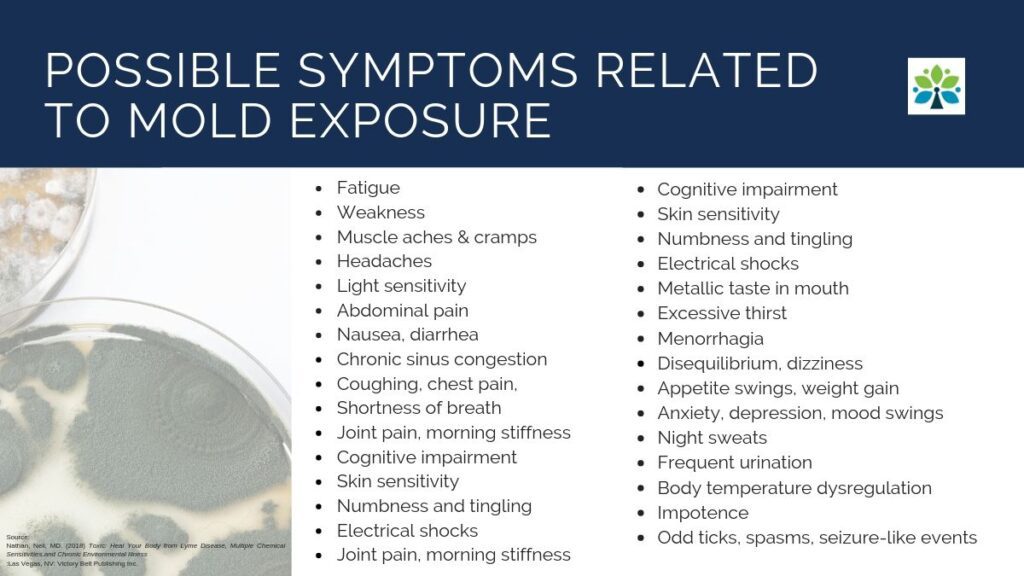 Symptoms Of Exposure To Mold In Your Home: Identifying And Addressing Health Concerns