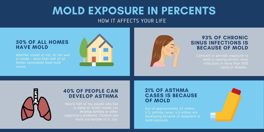 Symptoms Of Long-Term Exposure To Mold: Recognizing The Prolonged Health Impact