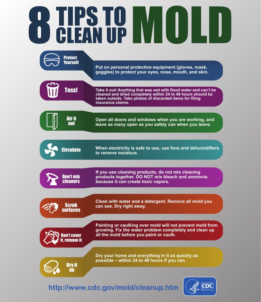 Symptoms Of Mold Exposure In House: Detecting And Remedying Home Contamination