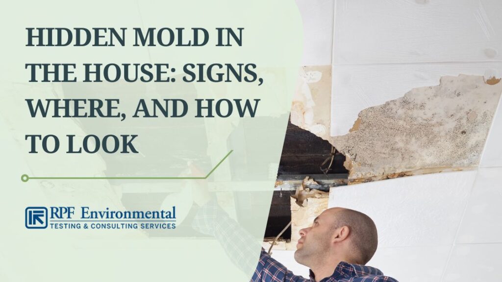 Symptoms Of Mold Exposure In House: Detecting And Remedying Home Contamination