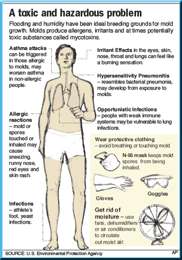 Symptoms Of Mold Exposure In Lungs: Understanding Respiratory Effects