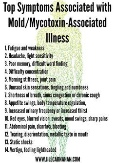 Symptoms Of Severe Mold Exposure: Identifying Acute Health Reactions