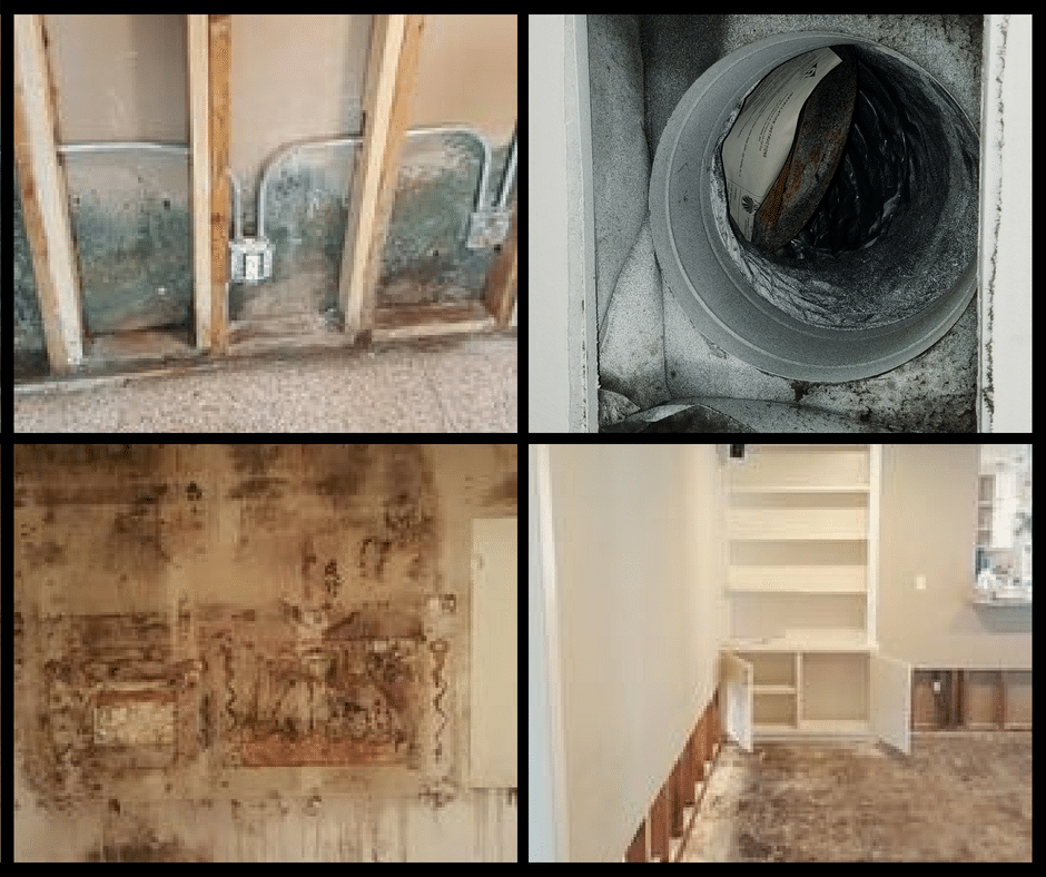 What Are The Common Causes Of Mold Growth In Houston Properties