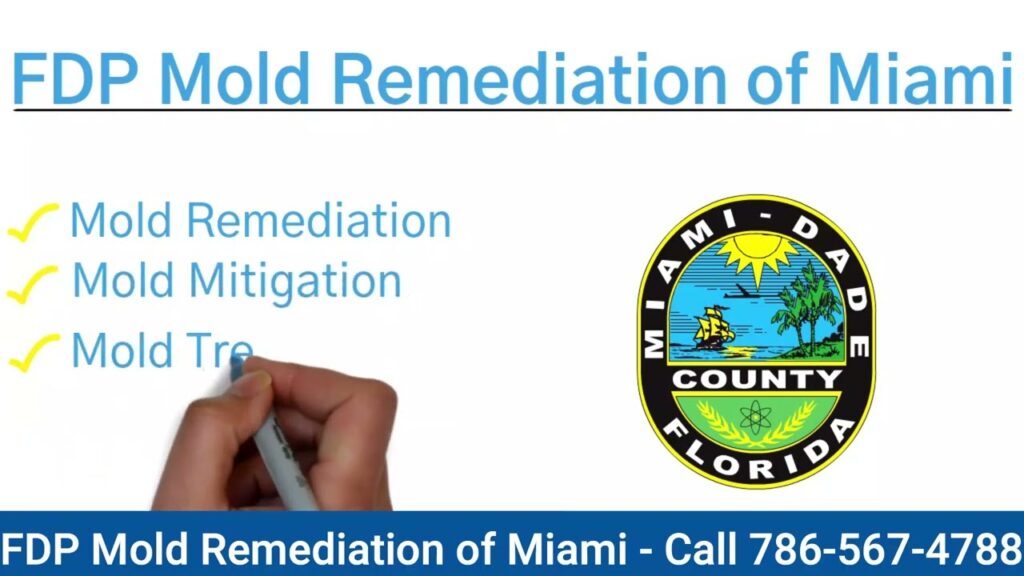 What Are The Common Signs That Indicate The Need For Mold Removal In Miami Beach?