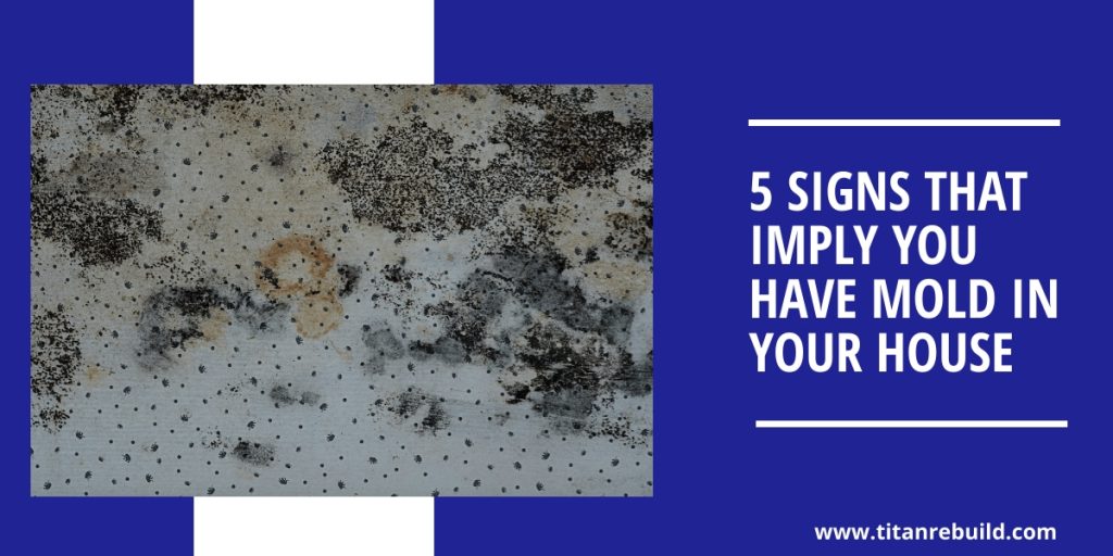 What Are The Common Signs That Indicate The Need For Mold Removal In Miami Beach?