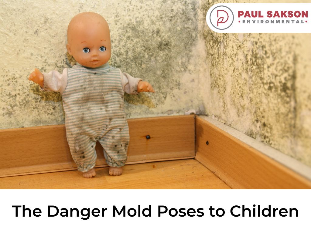 What Are The Symptoms Of Mold Exposure In Toddlers? How To Protect Your Little Ones