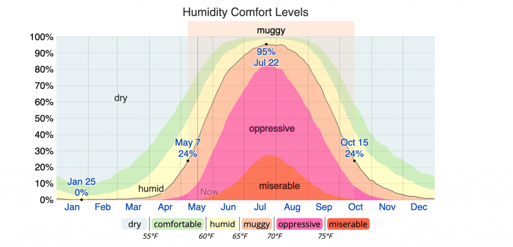 What Humidity Level Kills Mold?