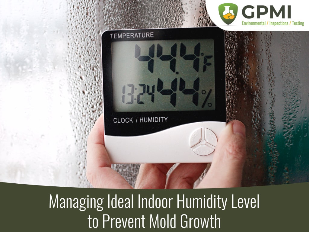 What Humidity Level Kills Mold?