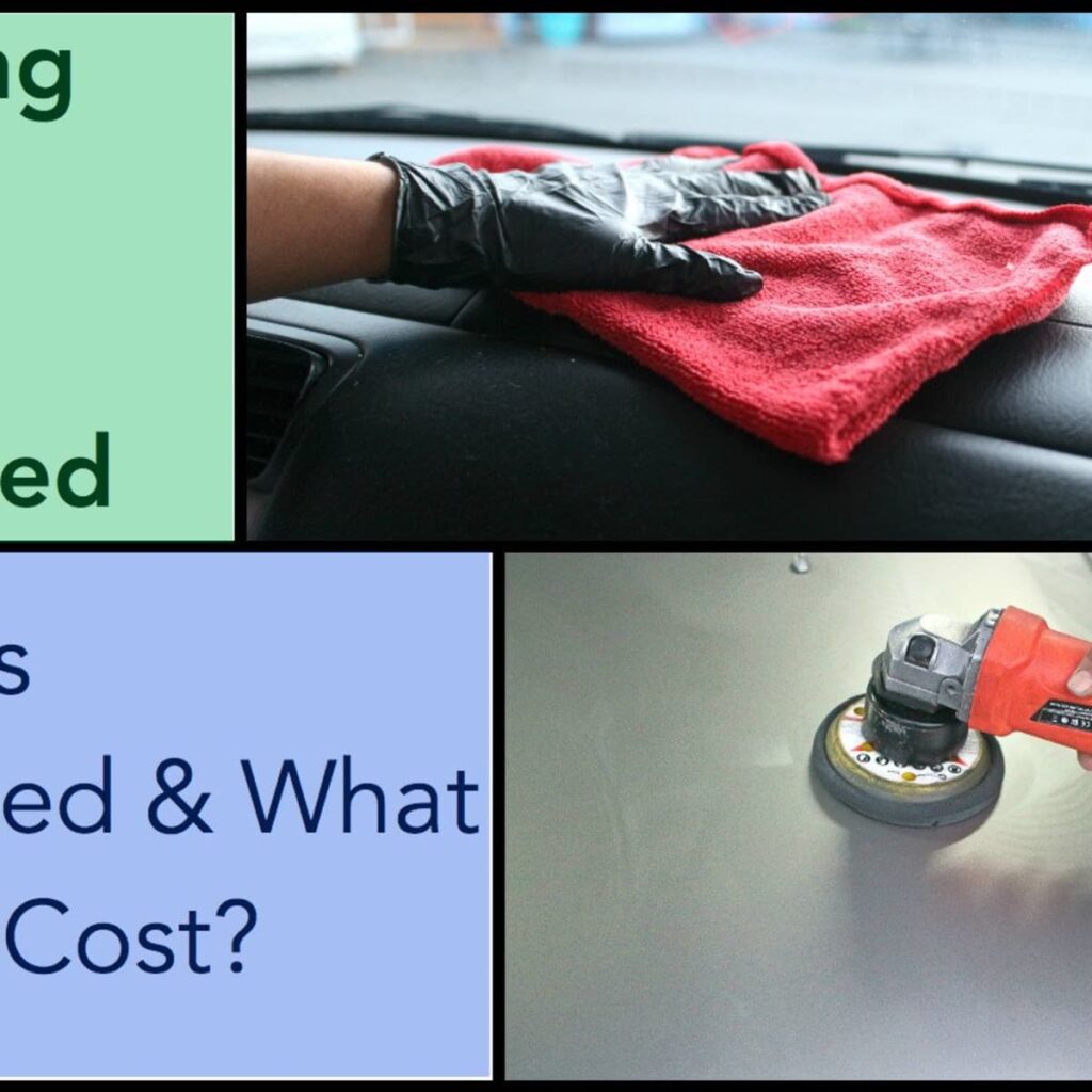 What Is The Average Car Detailing Mold Removal Cost?