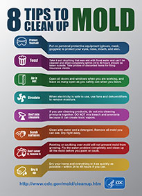 What Precautions Should I Take During Mold Removal In Sacramento To Avoid Health Risks?
