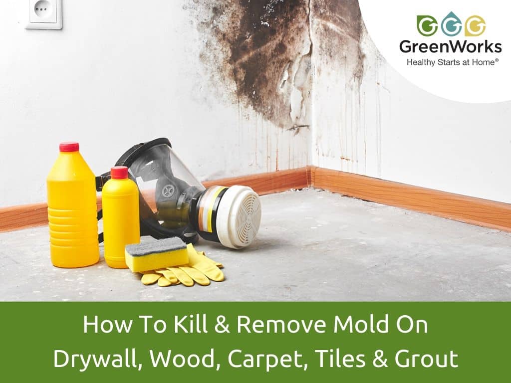 What Precautions Should I Take When Using Mold Remover For Carpet?