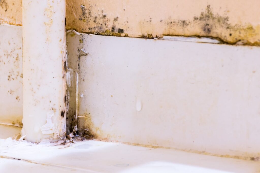 What Time Of Year Is Mold Worse?