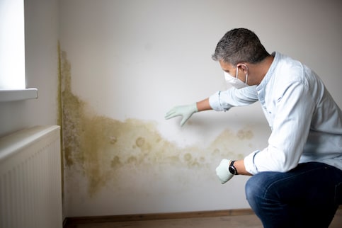 When Should You Walk Away From A House With Mold?