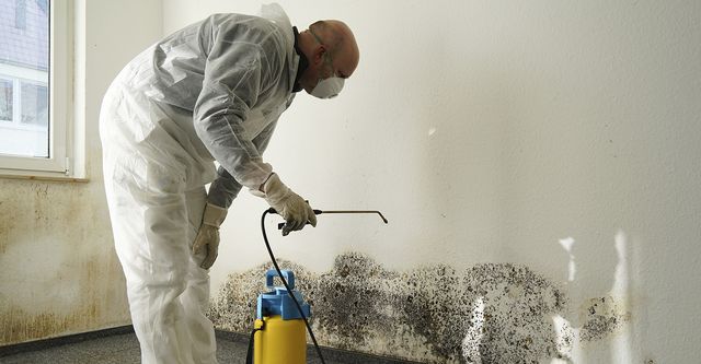 Where Can I Find Certified Mold Removal Services In Miami?