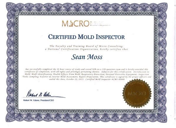 Certified Mold Inspections