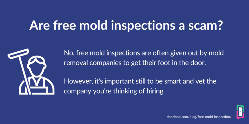 Free Mold Inspections