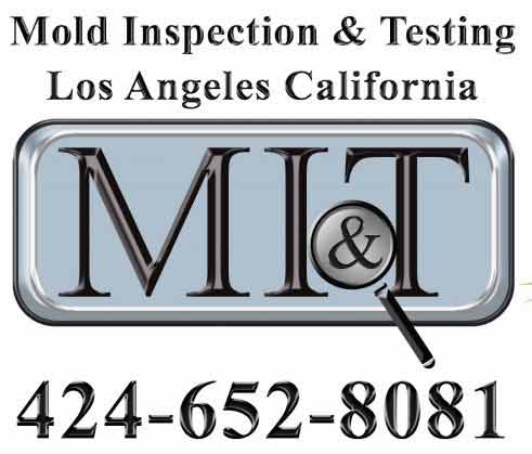 Los Angeles Mold Inspection