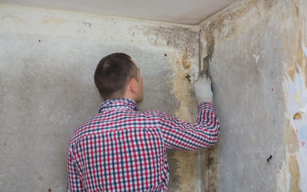 Mold Inspection And Testing
