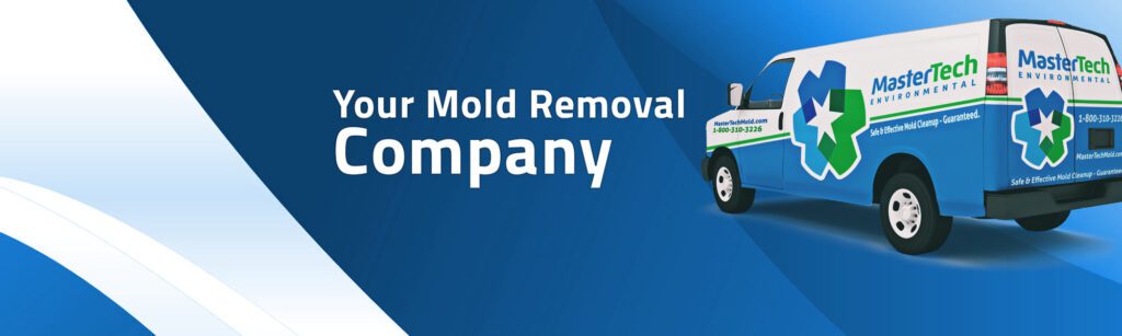 Mold Inspection Companies