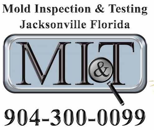Mold Inspection Florida