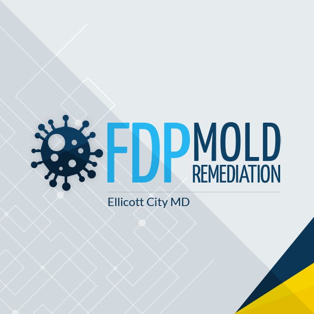 Mold Remediation Companies Ellicott City Md