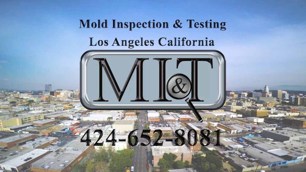 Mold Inspection Los Angeles Ca